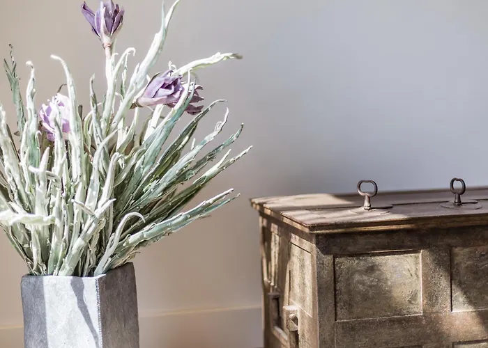 Soelring Lek 아파트 베닝슈테트